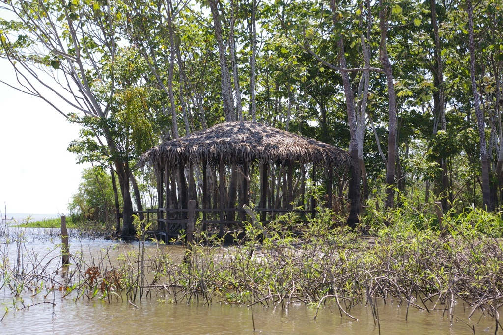 Amazon River