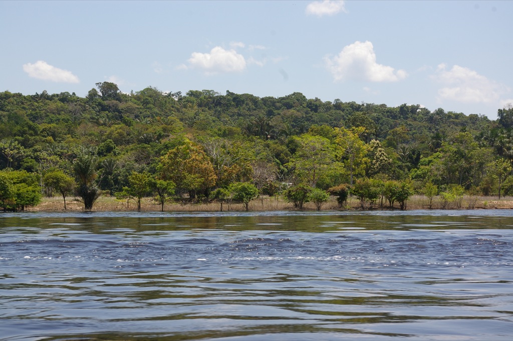 Amazon River